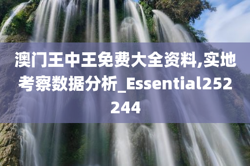 澳门王中王免费大全资料,实地考察数据分析_Essential252244