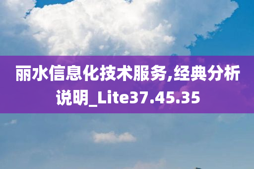 丽水信息化技术服务,经典分析说明_Lite37.45.35