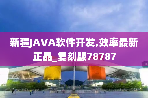 新疆JAVA软件开发,效率最新正品_复刻版78787