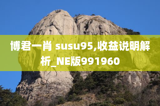 博君一肖 susu95,收益说明解析_NE版991960