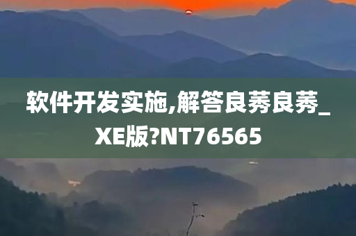 软件开发实施,解答良莠良莠_XE版?NT76565