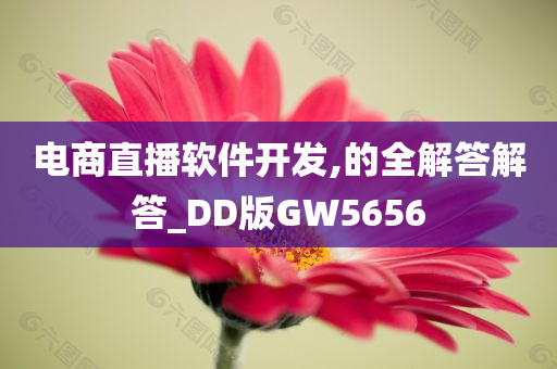 电商直播软件开发,的全解答解答_DD版GW5656