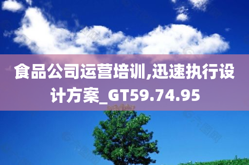 食品公司运营培训,迅速执行设计方案_GT59.74.95