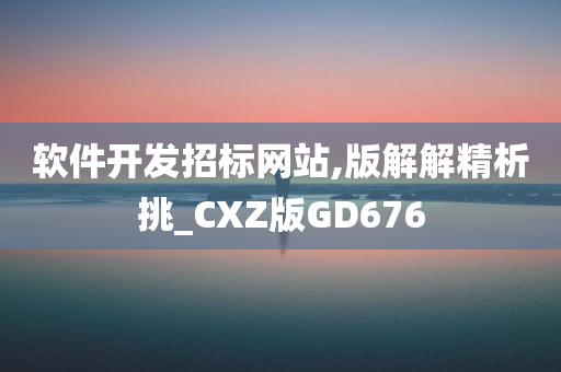 软件开发招标网站,版解解精析挑_CXZ版GD676