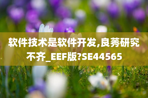 软件技术是软件开发,良莠研究不齐_EEF版?SE44565