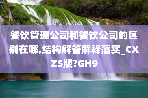 餐饮管理公司和餐饮公司的区别在哪,结构解答解释落实_CXZS版?GH9