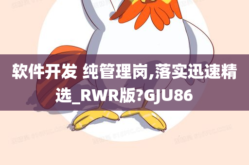 软件开发 纯管理岗,落实迅速精选_RWR版?GJU86