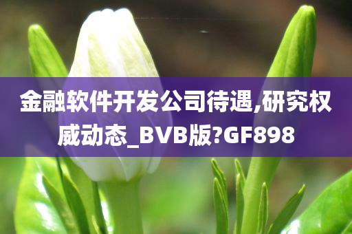 金融软件开发公司待遇,研究权威动态_BVB版?GF898