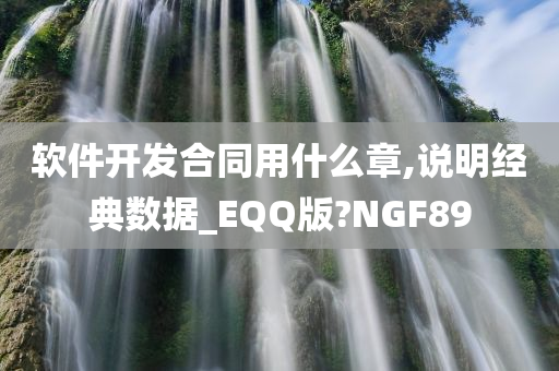 软件开发合同用什么章,说明经典数据_EQQ版?NGF89