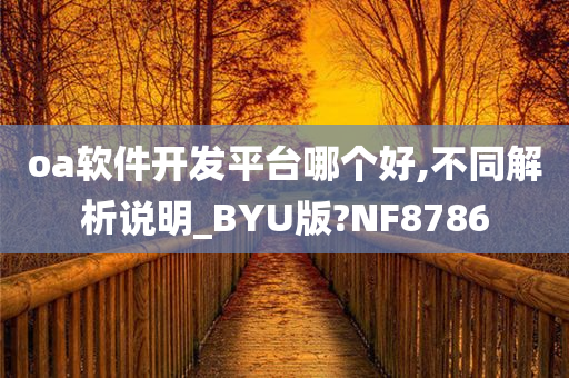 oa软件开发平台哪个好,不同解析说明_BYU版?NF8786