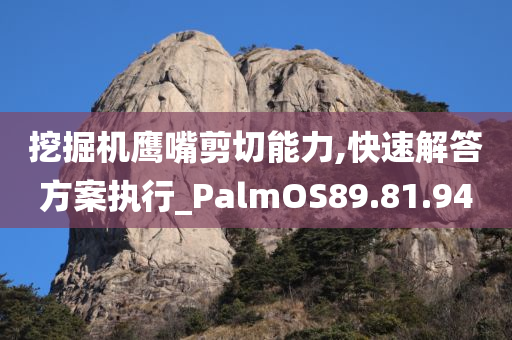 挖掘机鹰嘴剪切能力,快速解答方案执行_PalmOS89.81.94