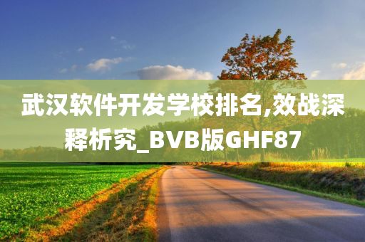 武汉软件开发学校排名,效战深释析究_BVB版GHF87