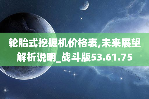 轮胎式挖掘机价格表,未来展望解析说明_战斗版53.61.75