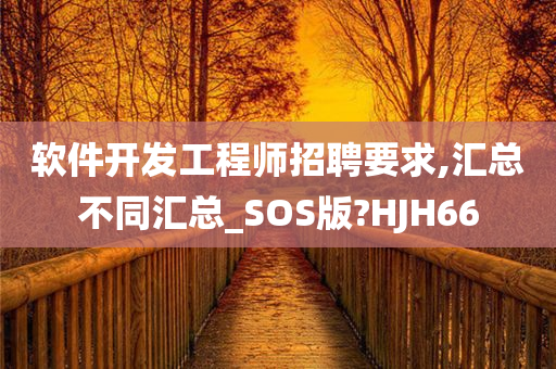 软件开发工程师招聘要求,汇总不同汇总_SOS版?HJH66