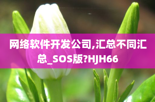 网络软件开发公司,汇总不同汇总_SOS版?HJH66