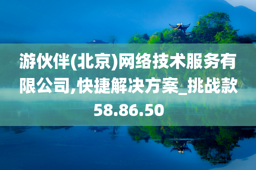 游伙伴(北京)网络技术服务有限公司,快捷解决方案_挑战款58.86.50