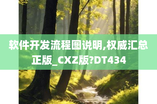 软件开发流程图说明,权威汇总正版_CXZ版?DT434