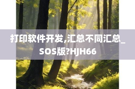 打印软件开发,汇总不同汇总_SOS版?HJH66