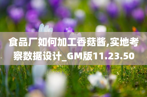 食品厂如何加工香菇酱,实地考察数据设计_GM版11.23.50