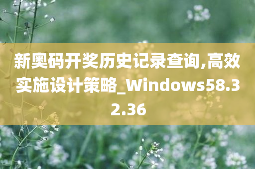 新奥码开奖历史记录查询,高效实施设计策略_Windows58.32.36