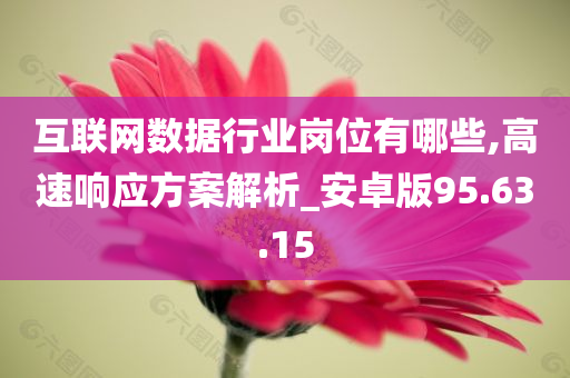 互联网数据行业岗位有哪些,高速响应方案解析_安卓版95.63.15