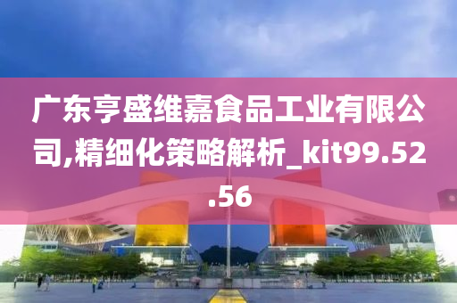 广东亨盛维嘉食品工业有限公司,精细化策略解析_kit99.52.56