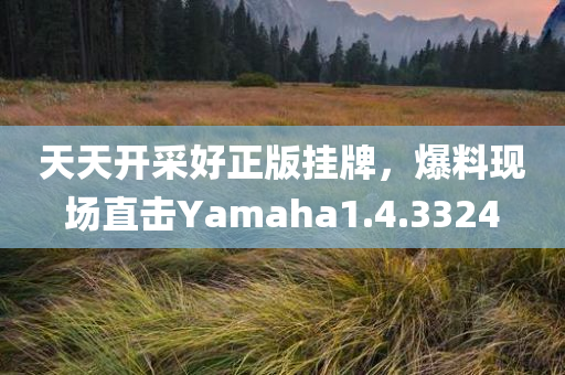 天天开采好正版挂牌，爆料现场直击Yamaha1.4.3324