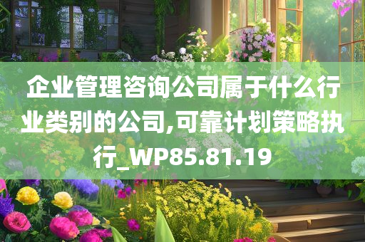 企业管理咨询公司属于什么行业类别的公司,可靠计划策略执行_WP85.81.19