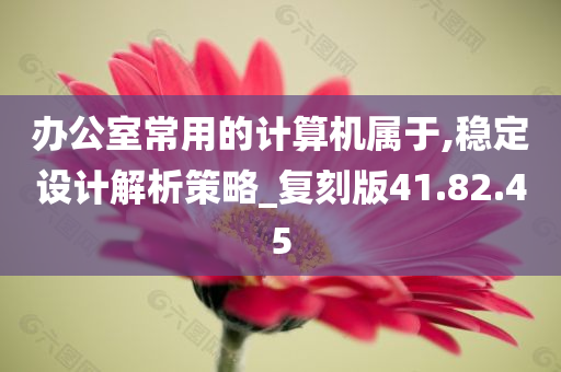 办公室常用的计算机属于,稳定设计解析策略_复刻版41.82.45