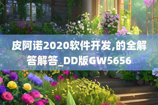 皮阿诺2020软件开发,的全解答解答_DD版GW5656