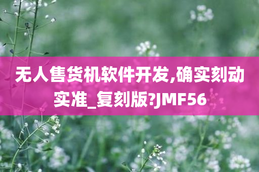 无人售货机软件开发,确实刻动实准_复刻版?JMF56