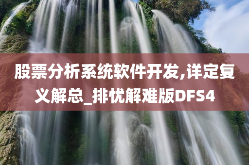 股票分析系统软件开发,详定复义解总_排忧解难版DFS4