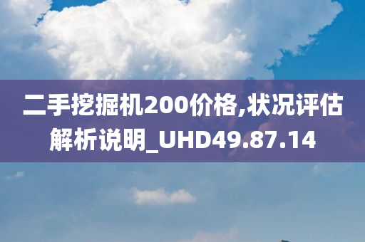 二手挖掘机200价格,状况评估解析说明_UHD49.87.14