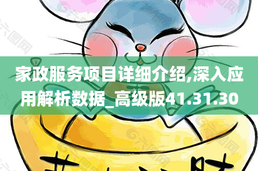 家政服务项目详细介绍,深入应用解析数据_高级版41.31.30