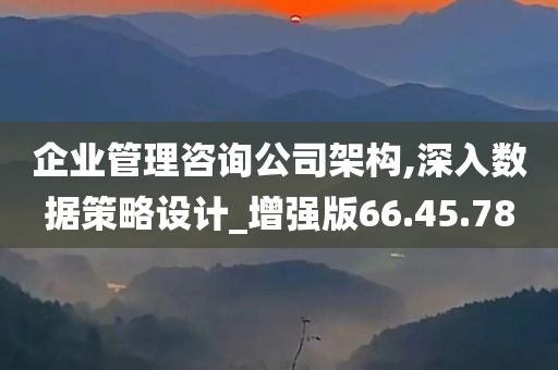 企业管理咨询公司架构,深入数据策略设计_增强版66.45.78