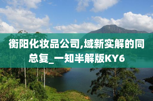 衡阳化妆品公司,域新实解的同总复_一知半解版KY6