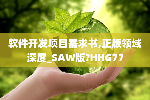 软件开发项目需求书,正版领域深度_SAW版?HHG77