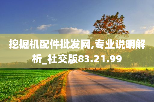 挖掘机配件批发网,专业说明解析_社交版83.21.99