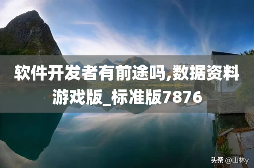 软件开发者有前途吗,数据资料游戏版_标准版7876