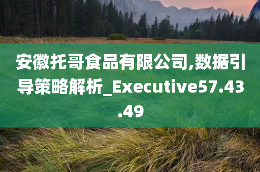 安徽托哥食品有限公司,数据引导策略解析_Executive57.43.49