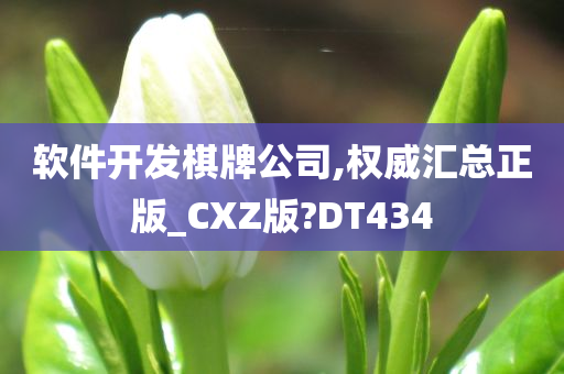 软件开发棋牌公司,权威汇总正版_CXZ版?DT434