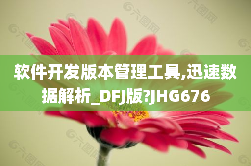 软件开发版本管理工具,迅速数据解析_DFJ版?JHG676