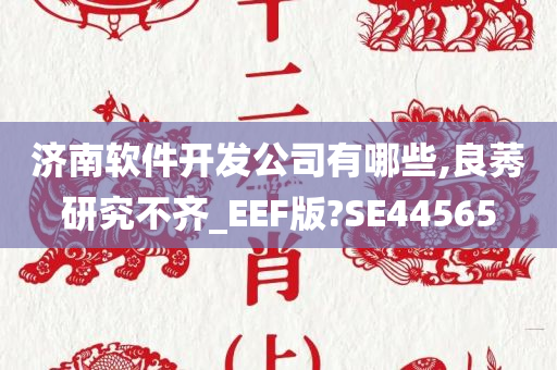 济南软件开发公司有哪些,良莠研究不齐_EEF版?SE44565