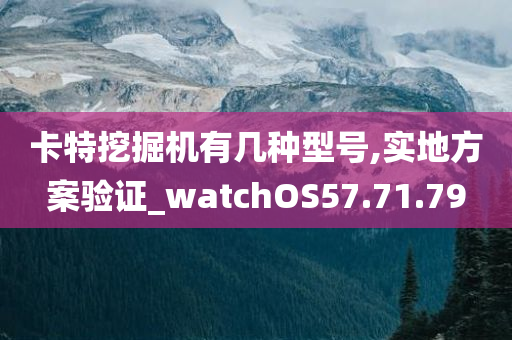 卡特挖掘机有几种型号,实地方案验证_watchOS57.71.79