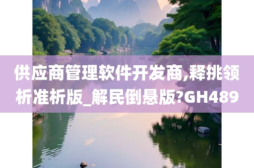 供应商管理软件开发商,释挑领析准析版_解民倒悬版?GH489