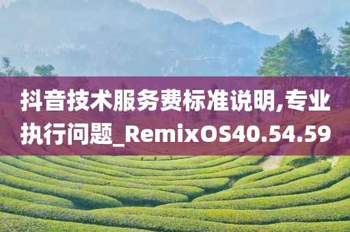 抖音技术服务费标准说明,专业执行问题_RemixOS40.54.59