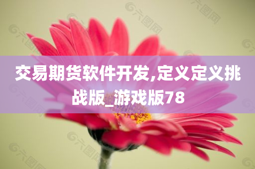 交易期货软件开发,定义定义挑战版_游戏版78