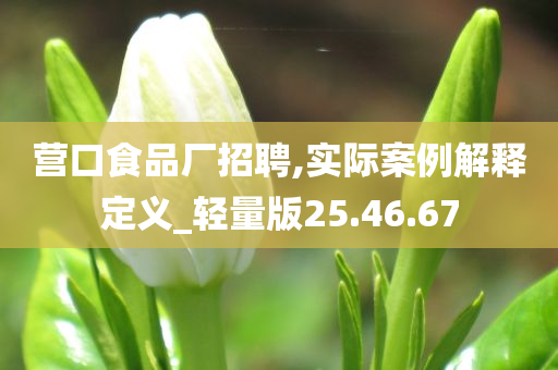 营口食品厂招聘,实际案例解释定义_轻量版25.46.67