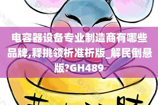 电容器设备专业制造商有哪些品牌,释挑领析准析版_解民倒悬版?GH489