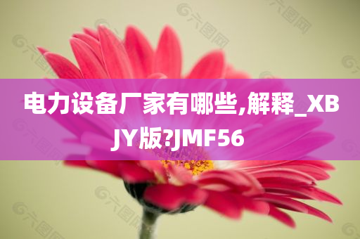 电力设备厂家有哪些,解释_XBJY版?JMF56